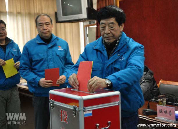 皖南電機(jī)陳根喜、管兵在投票現(xiàn)場